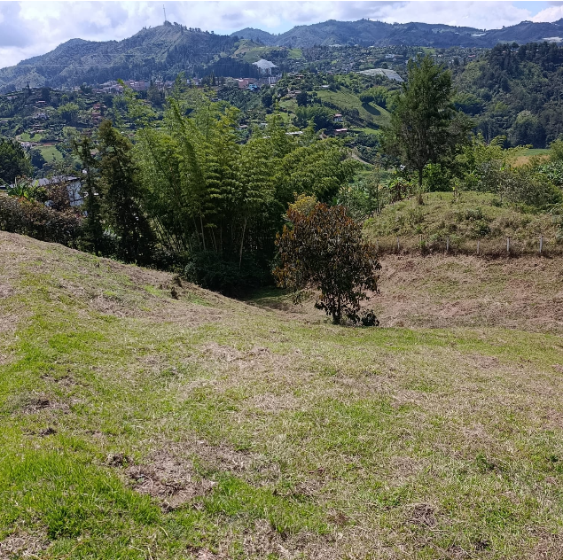 Lote en Parcelacion El Peñol
