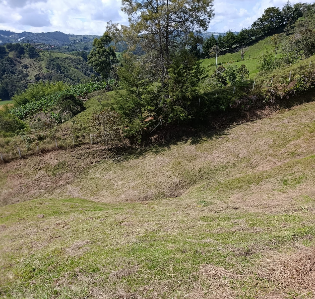 Lote en Parcelacion El Peñol