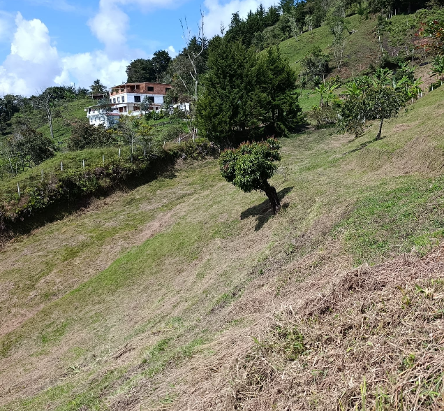 Lote en Parcelacion El Peñol